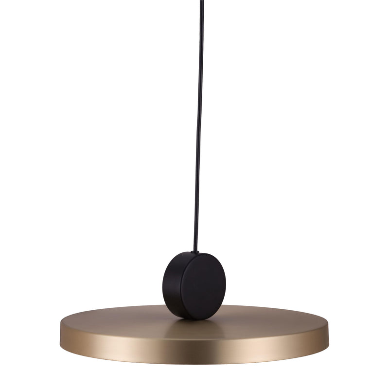 Zuo Mozu 56105 Ceiling Lamp - Gold & Black IMAGE 4