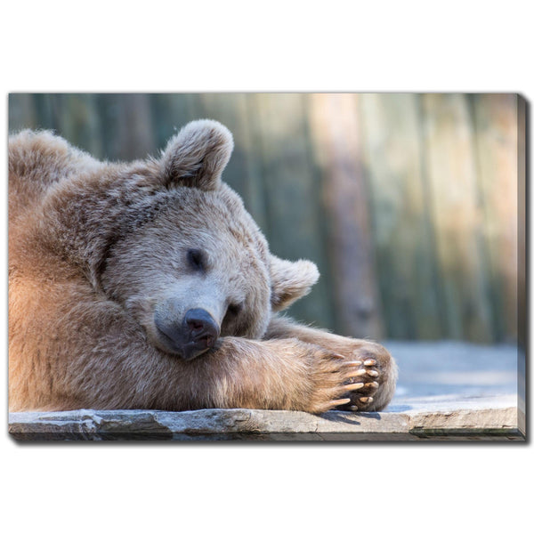 Streamline Art D3561-3045 Sleeping Brown Bear IMAGE 1