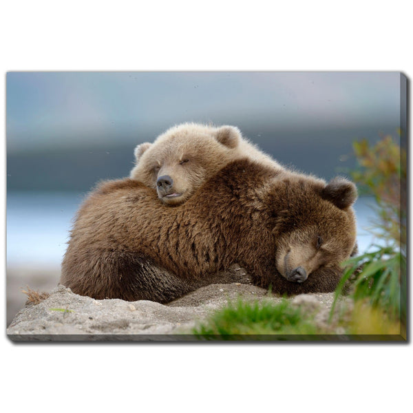 Streamline Art D3540-2228 Two Bears IMAGE 1