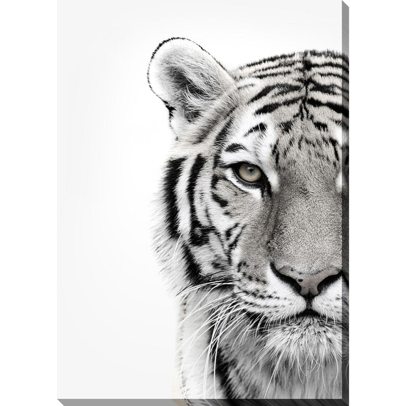 Streamline Art D1034-3860 White Tiger IMAGE 1